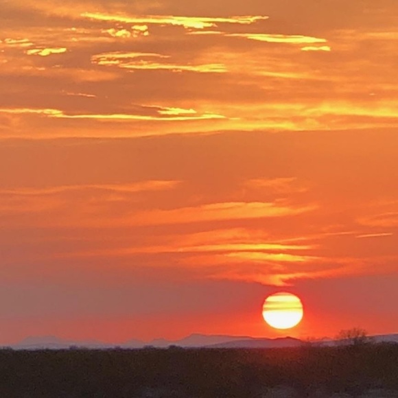 Meet your Posher, Teresa - Picture 1 of 1